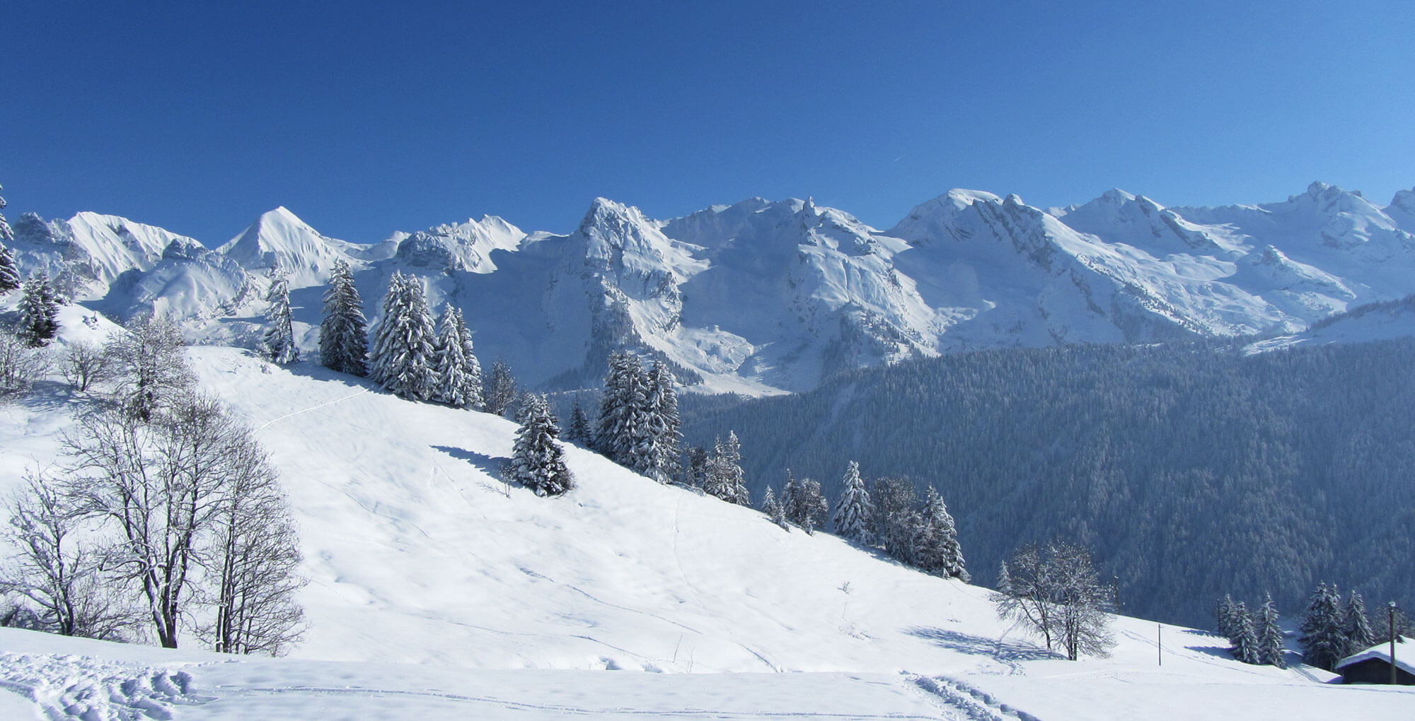 Skieur sur les pistes de La Clusaz