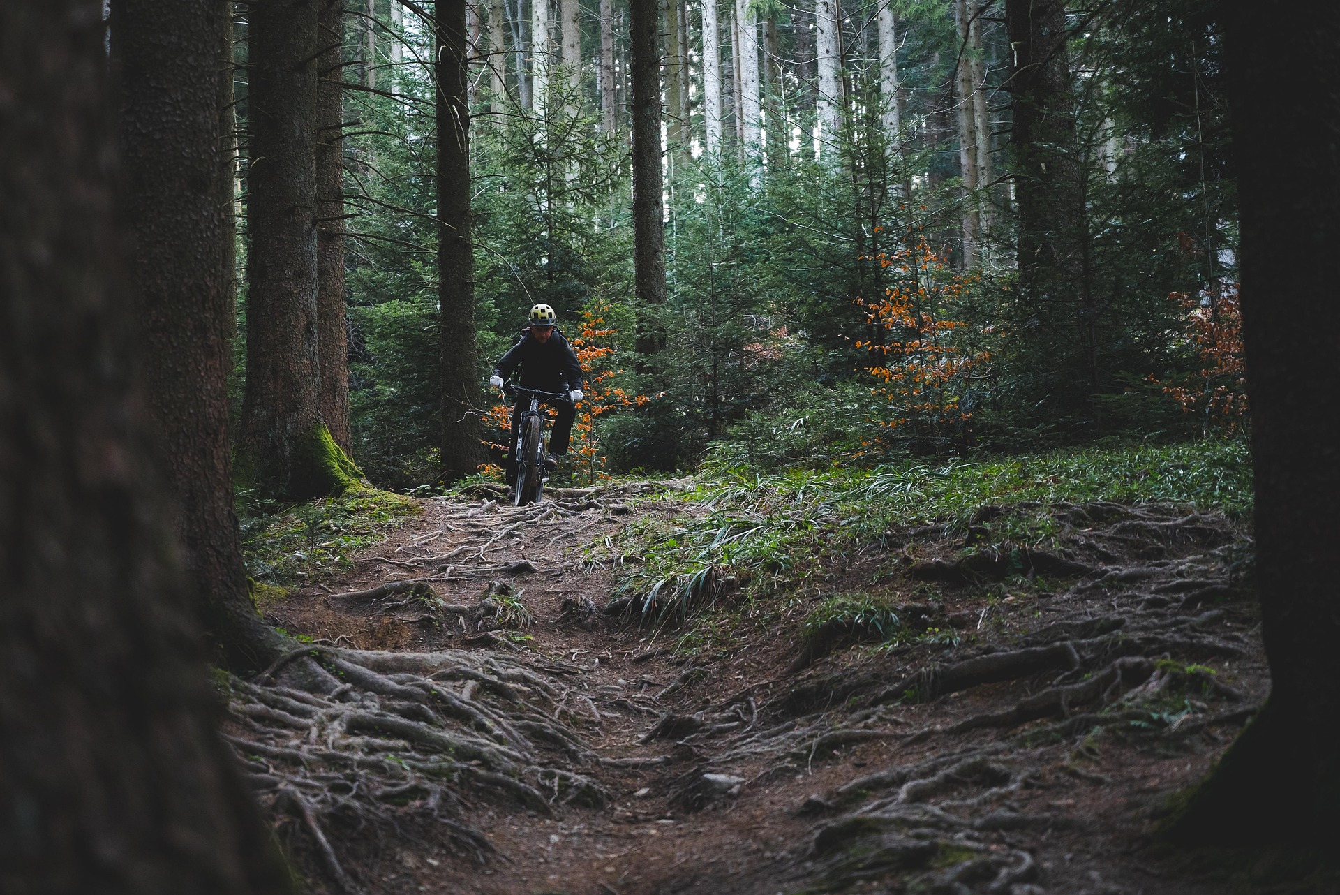 Cycliste montant un col